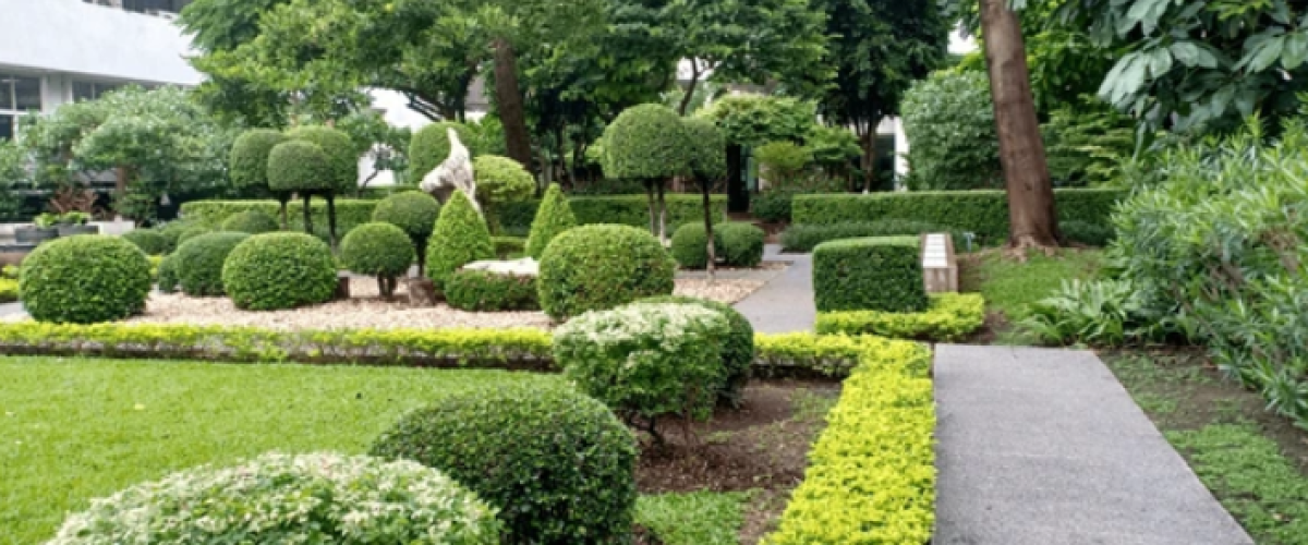 Gardener & Landscape Maintenance Assistant